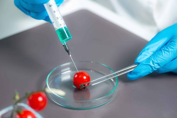 How to Install a Rear Diffuser on a Lamborghini Huracan for Improved Aerodynamic Efficiency?