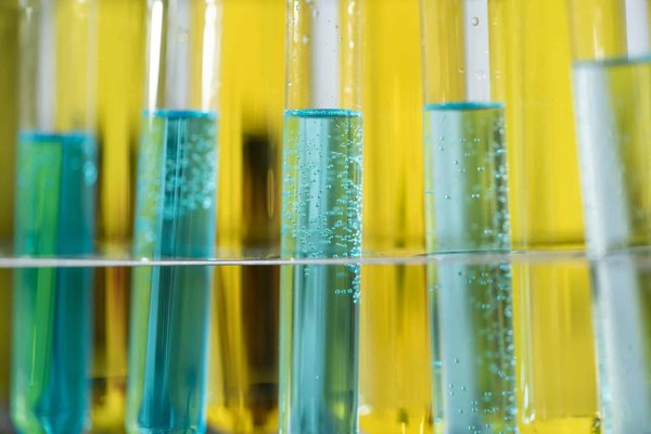 What Is the Potential of Algae Biofuels in Reducing Carbon Emissions?